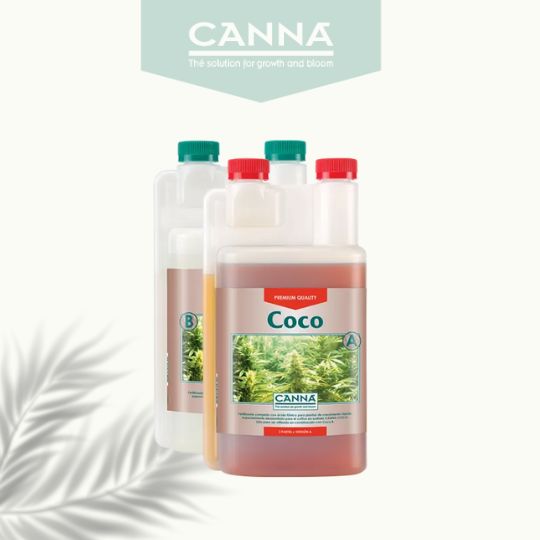 canna coco